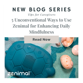 5 Unconventional Ways to Use Zenimal for Enhancing Daily Mindfulness