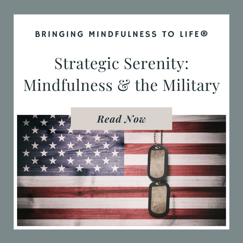 Strategic Serenity: Mindfulness & the Military blog post from zenimal.  American flag with dog tags.