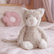 The cream weighted cat sitting upright on a bed beside a pink flower cushion
