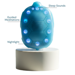 Zenimal Connect seen from the front