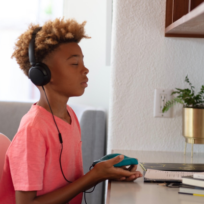 Growing With Zenimal – Kids Edition