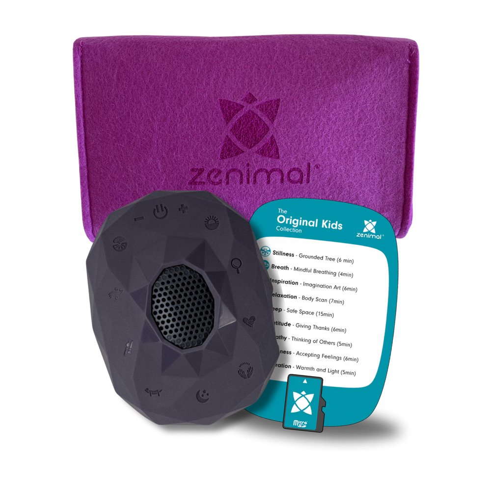 Mindfulness Bundle for Growing Minds – Teen/Adult Edition