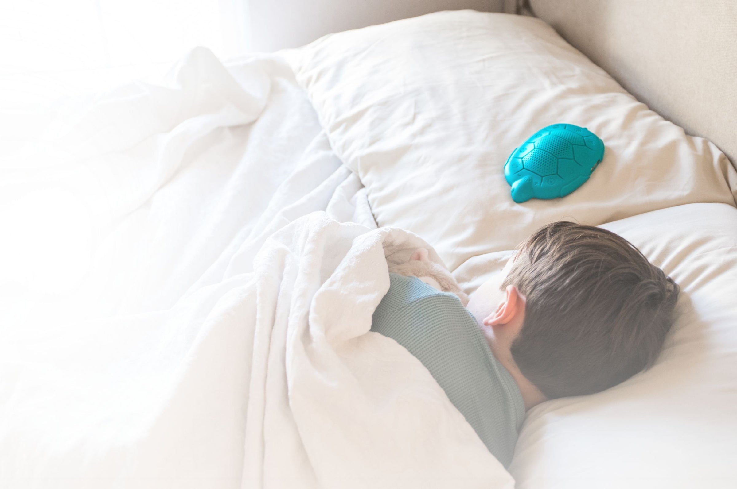 Sleeping child with Zenimal