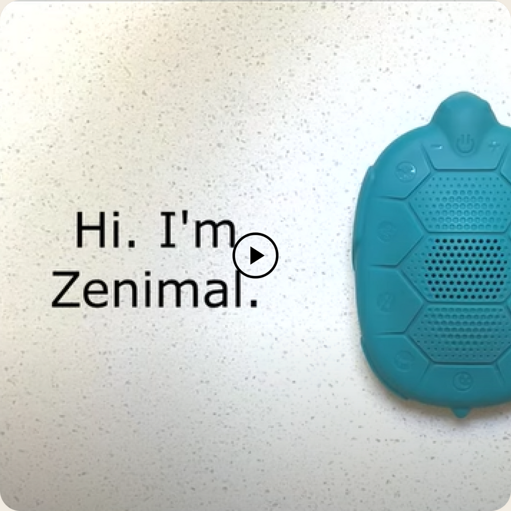 
            
                Load and play video in Gallery viewer, zenimal
            
        