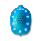 Zenimal Connect turtle device in translucent blue with a ring of glowing blue LED lights around its shell and speaker grille
